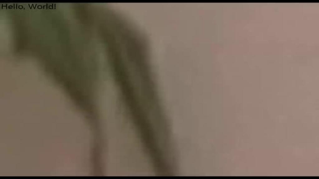 visualviagrax download [2016/11/29 18:00:27]