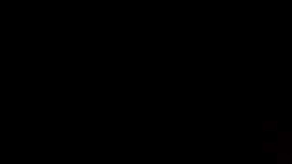 alwaysinforfun adult [2017/01/01 21:16:46]