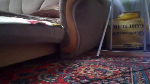 metboy naked [2016/10/13 18:28:50]