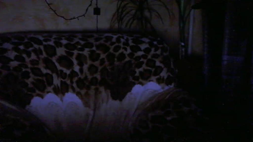 svetaelit naked [2016/12/12 20:53:23]