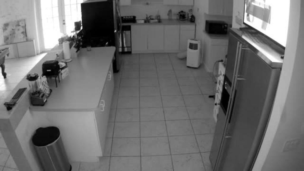 kitchen webcam [2017/01/03 22:30:27]