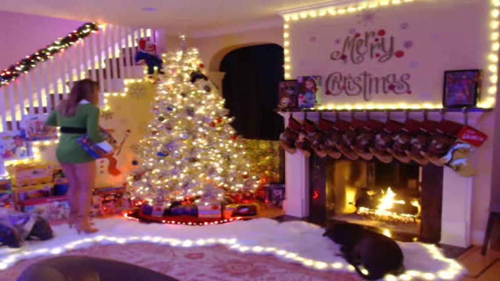 misschristmas adult [2016/12/17 04:50:27]