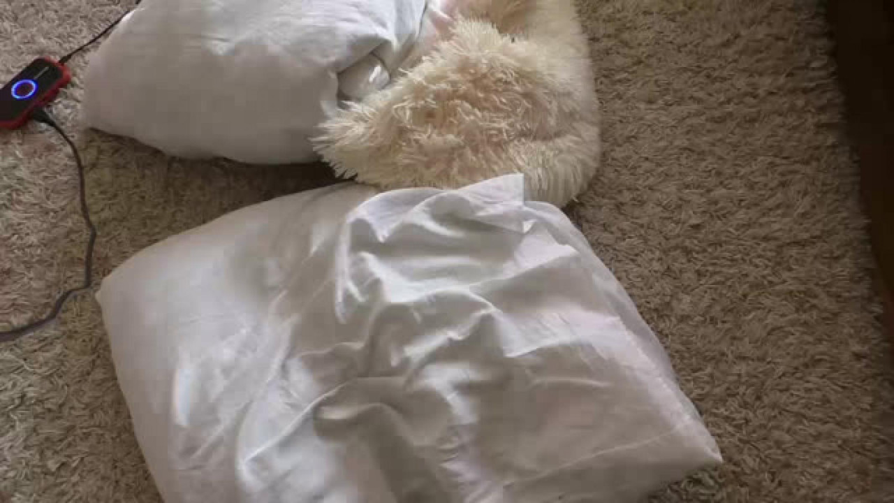 mellow_dy video [2016/10/18 06:20:46]