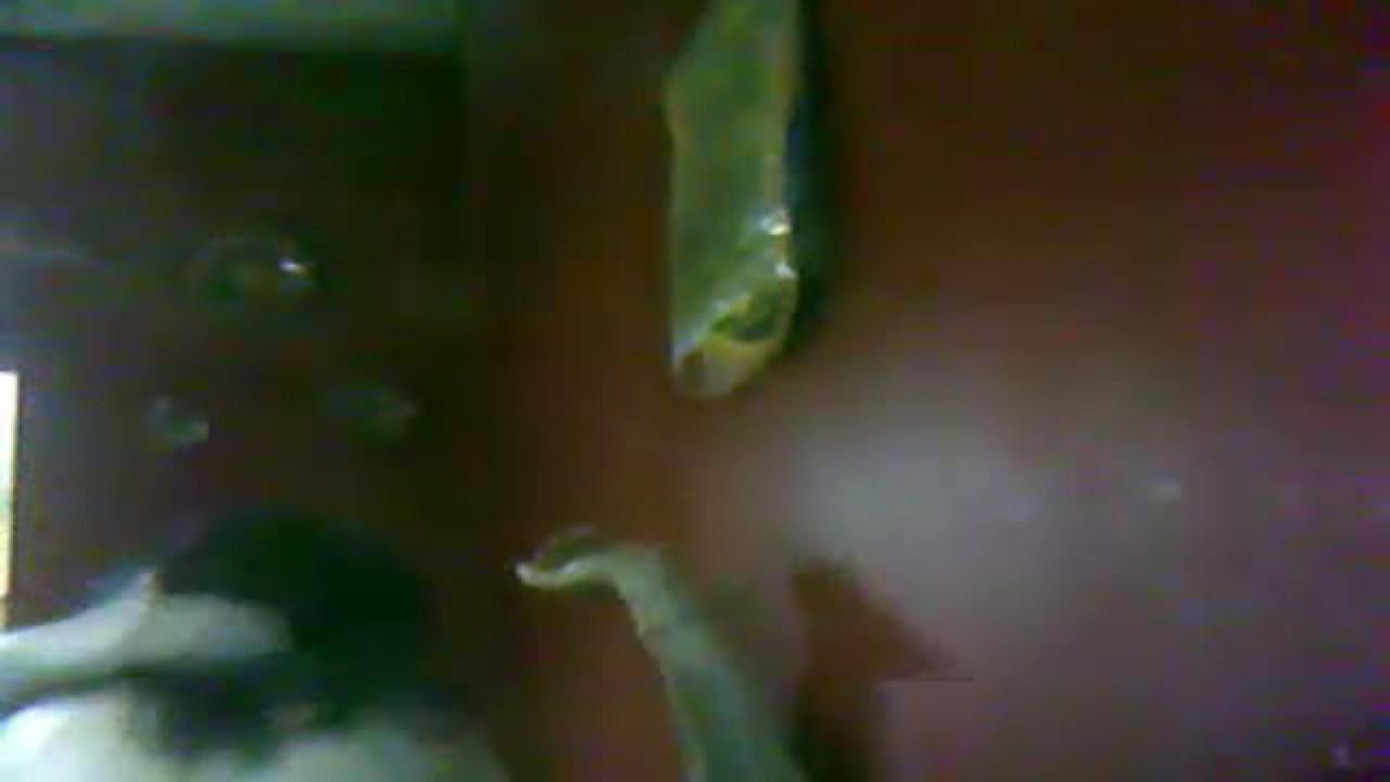 tuya_soy