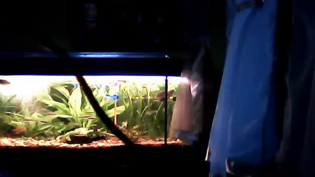 agusia54 nude [2016/11/17 17:10:26]