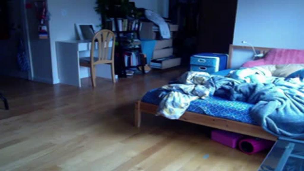leacaribbean adult [2016/11/30 19:18:56]