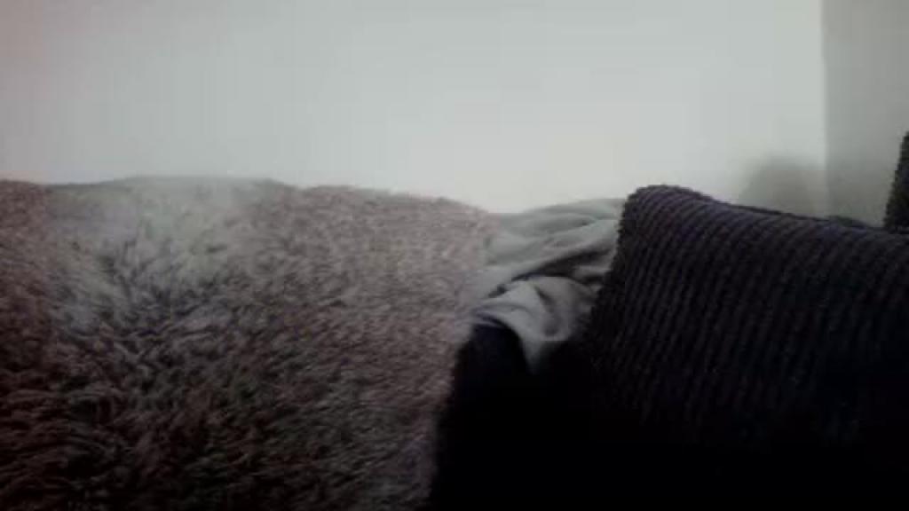 ninabowie Pussy Video [2017/06/13 - 16:45:56]