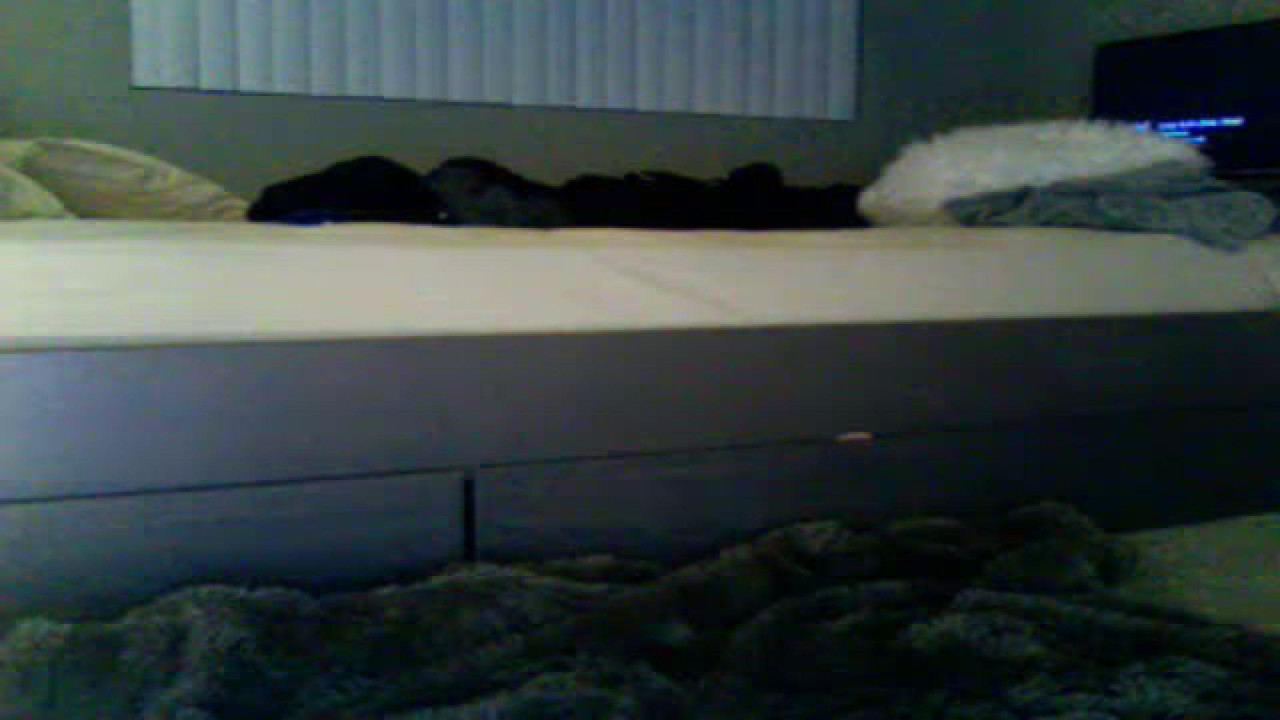 scarlettmai Doggy Movie [2017/12/27 03:25:38]