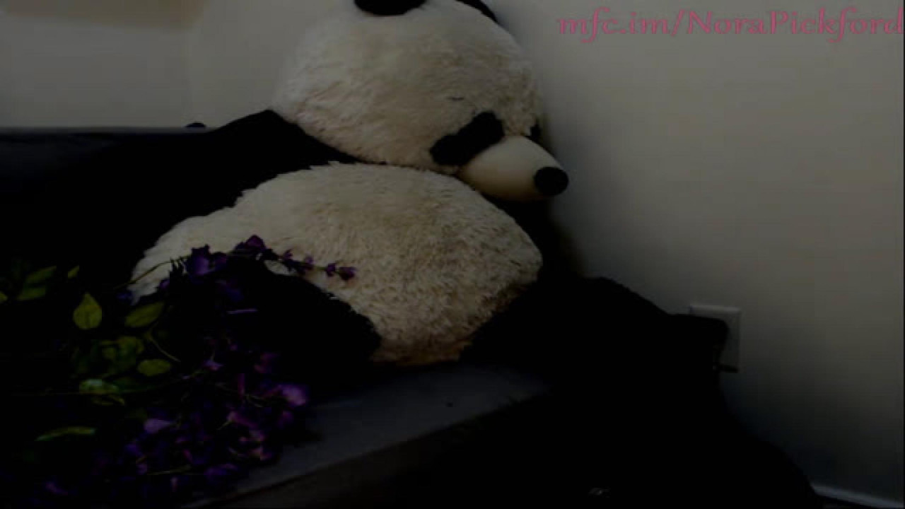 norapickford HD Show [2017/11/09 06:12:57]