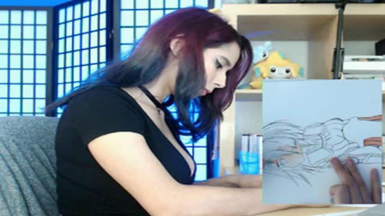 senrii Recording Webcam [2017/11/06 05:25:13]