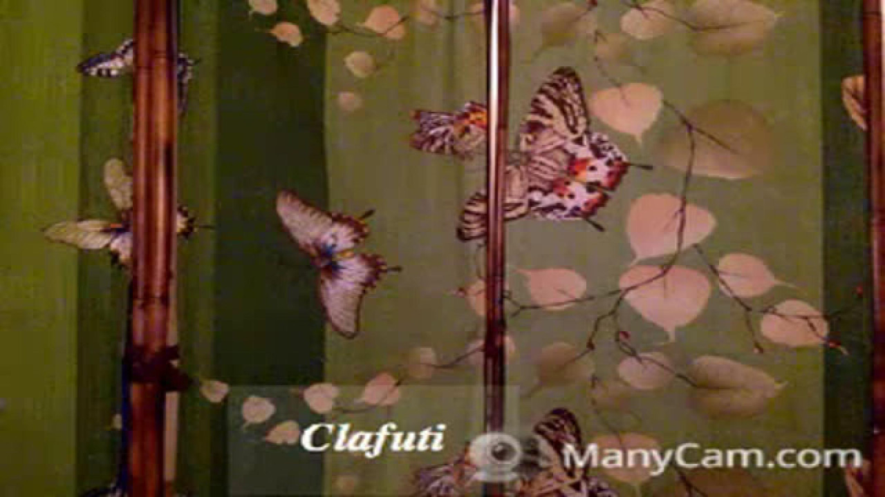 clafuti True [2017/08/18 20:40:12]