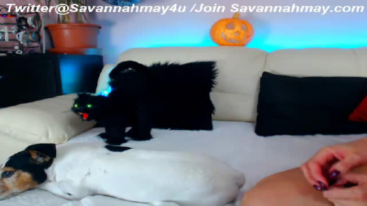 savannahmay Strap Show [2017/10/27 21:56:53]