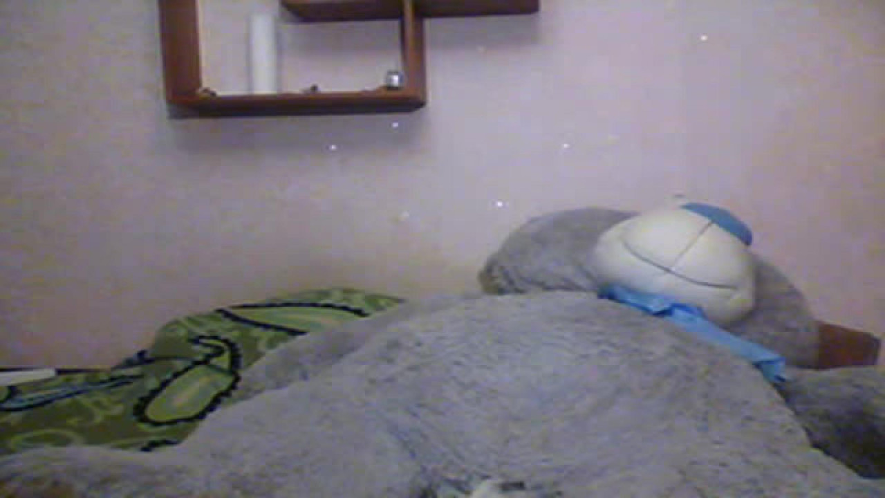 elika_grey Stream Movie [2017/11/20 15:15:51]