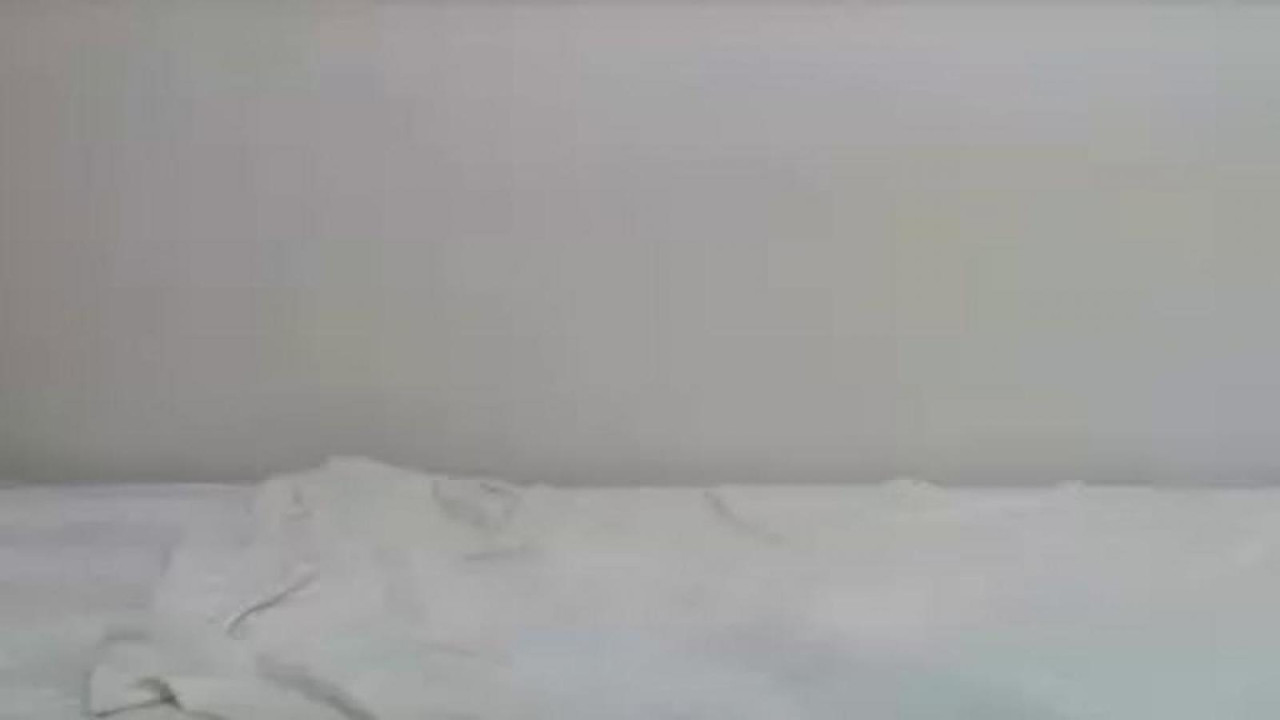 shysexyjess78 [2017/07/22 18:40:54]