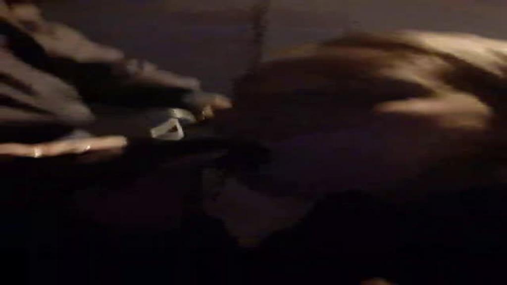 loirasexxxx [2019/08/03 22:50:28]