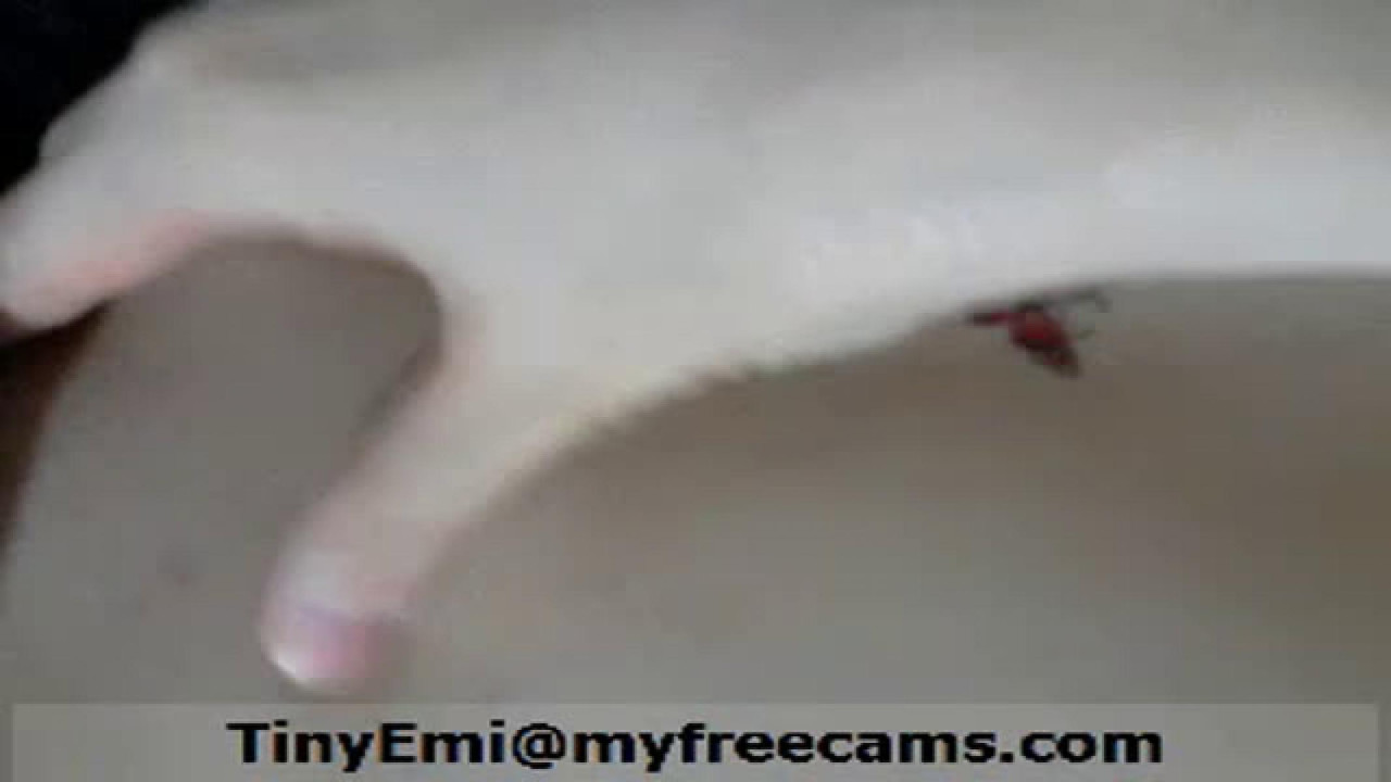 tinyemi Fucked [2018/02/20 06:45:23]
