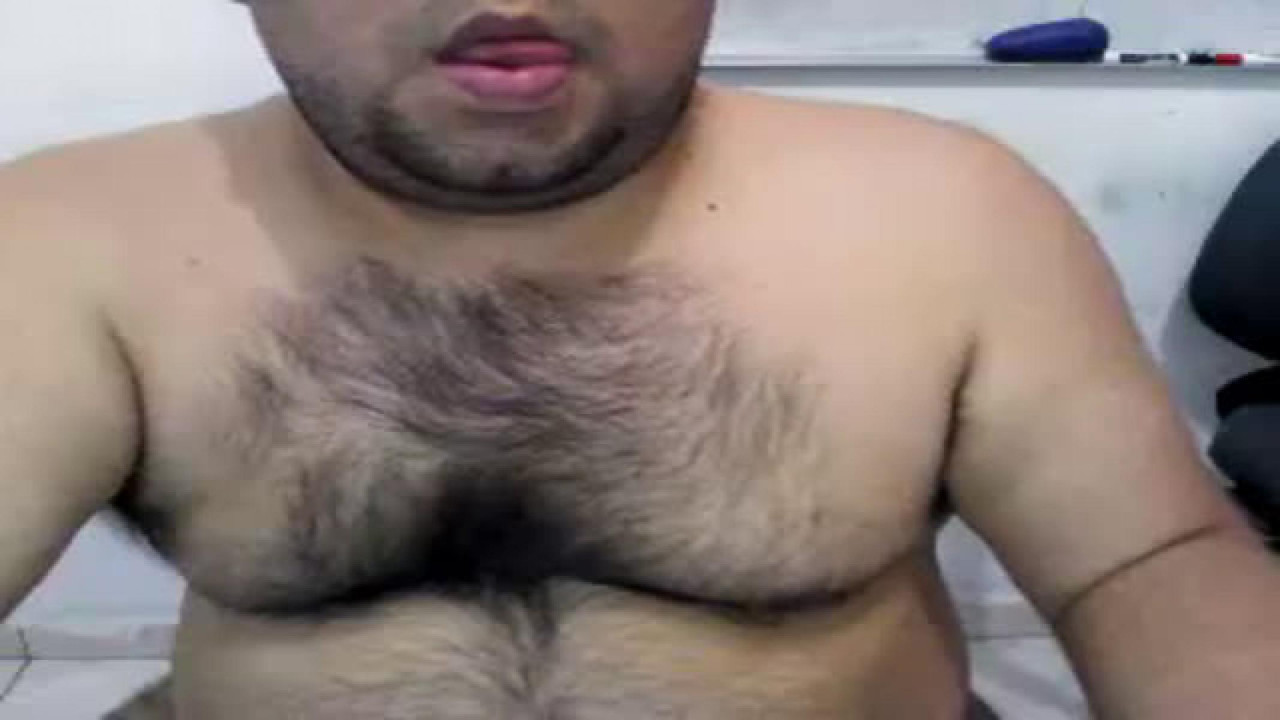 alexlatinbear