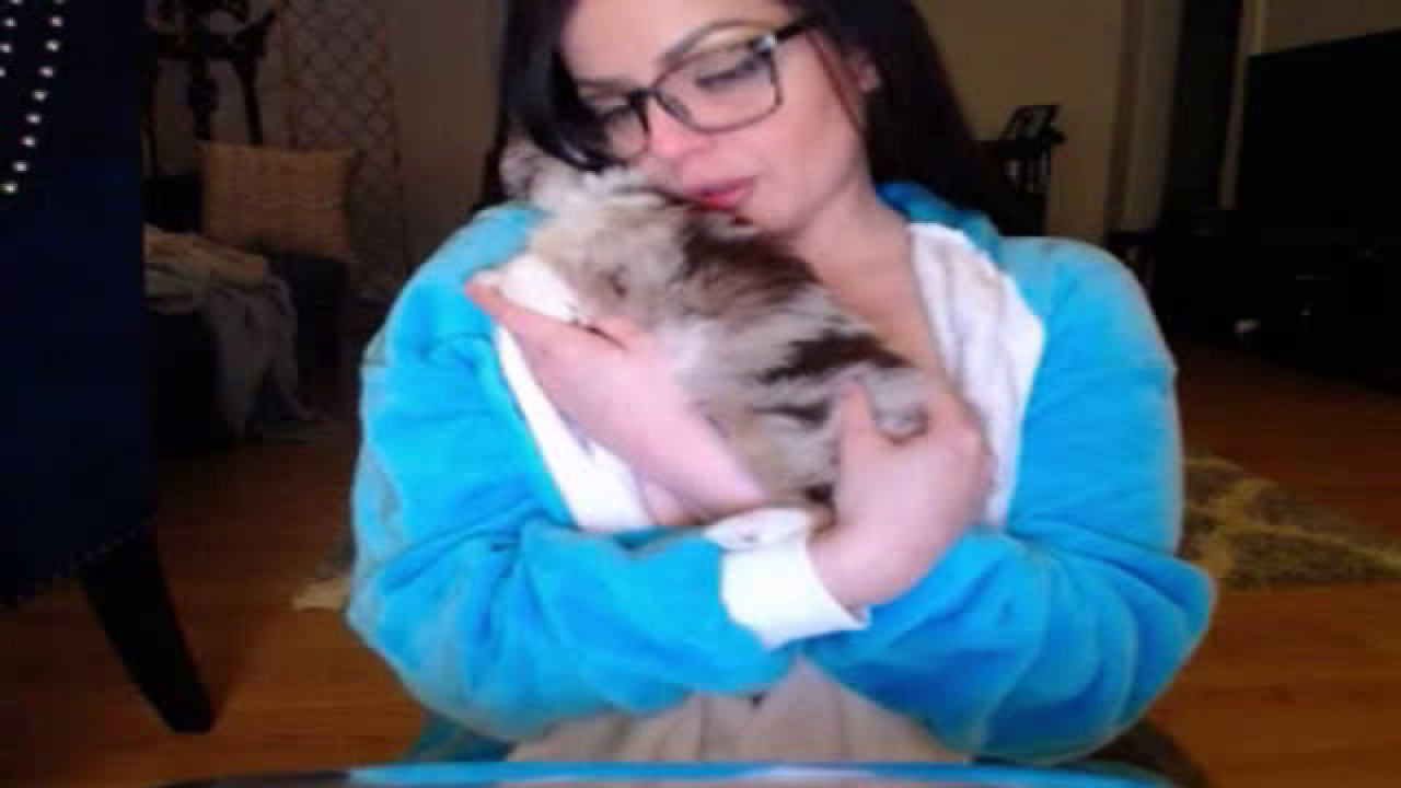 missmonrow Handjob Webcam [2017/12/25 06:20:13]