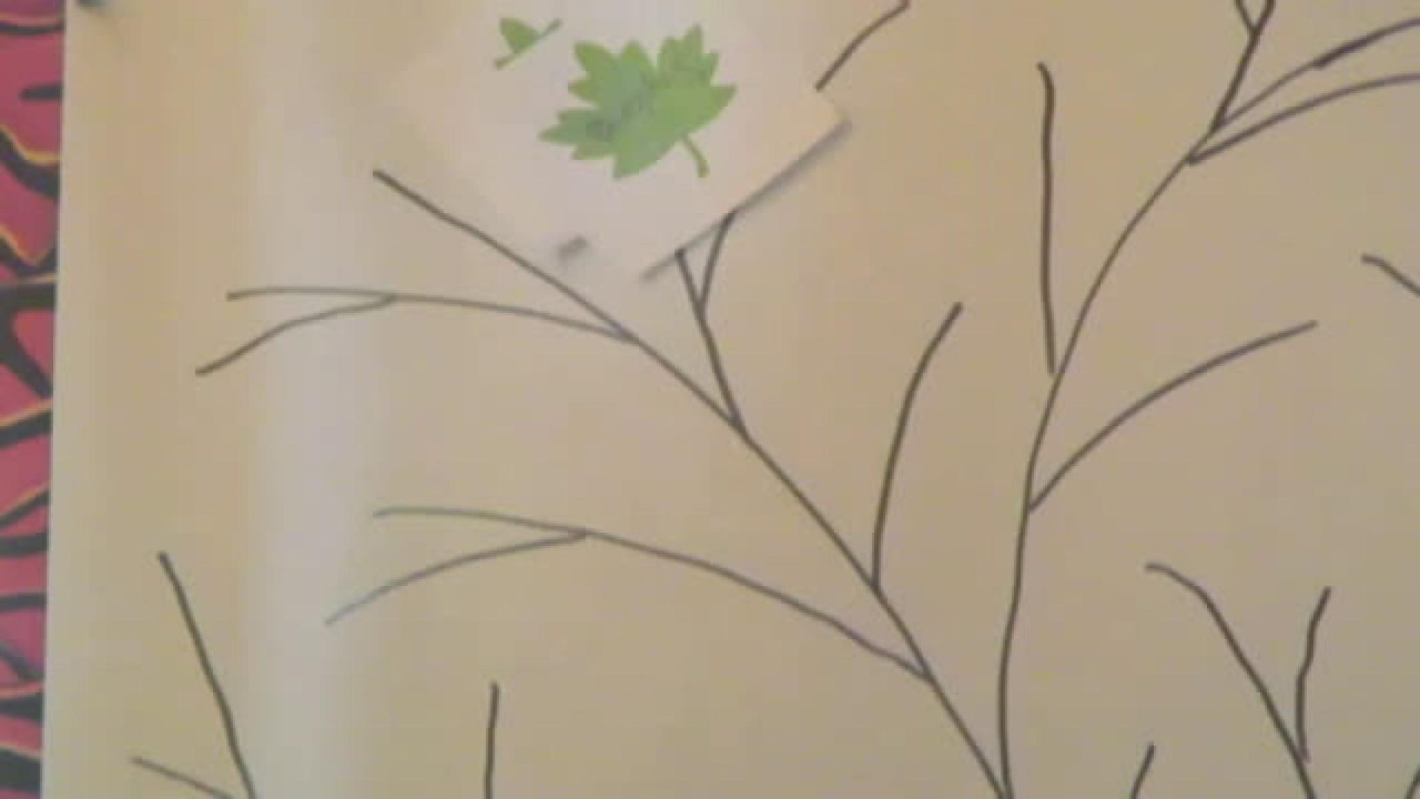 greensaphire Ass [2017/10/13 09:18:07]