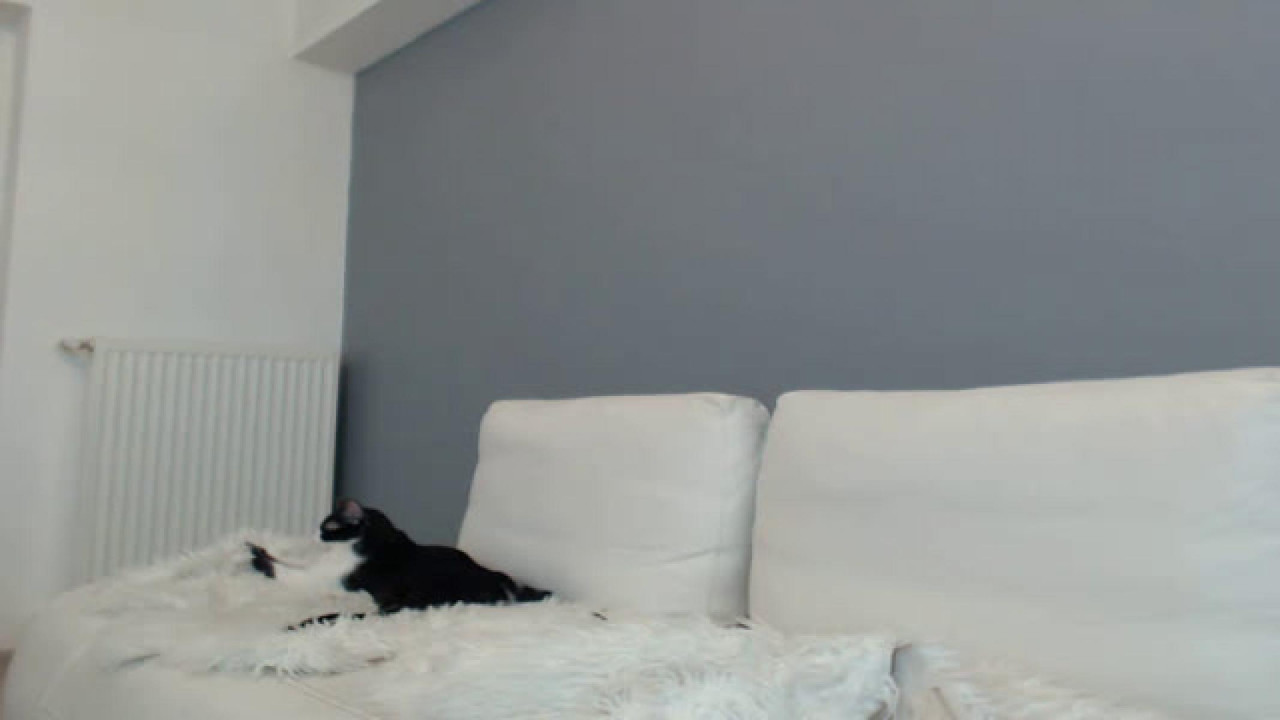 just_a_model [2018/02/19 23:06:40]