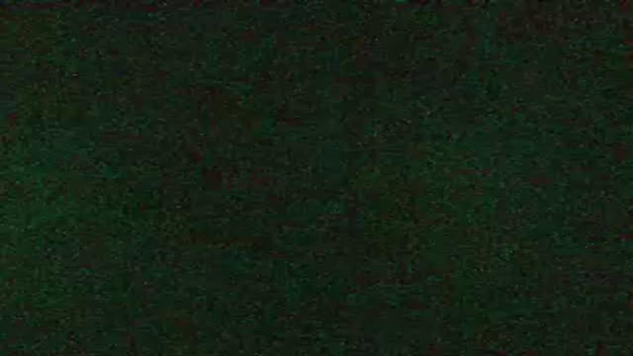 cicistar Twerking Movie [2018/04/29 09:50:16]