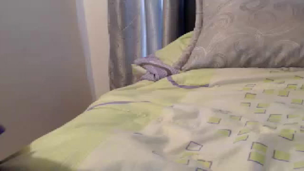 danisquirt1 [2018/03/22 20:52:06]