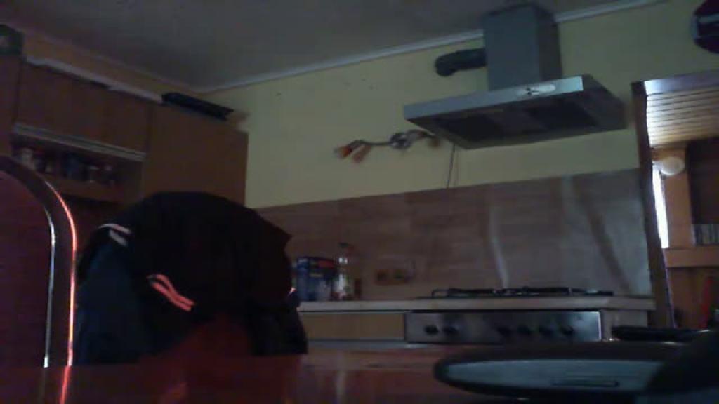 shyla57 [2019/05/28 06:54:27]