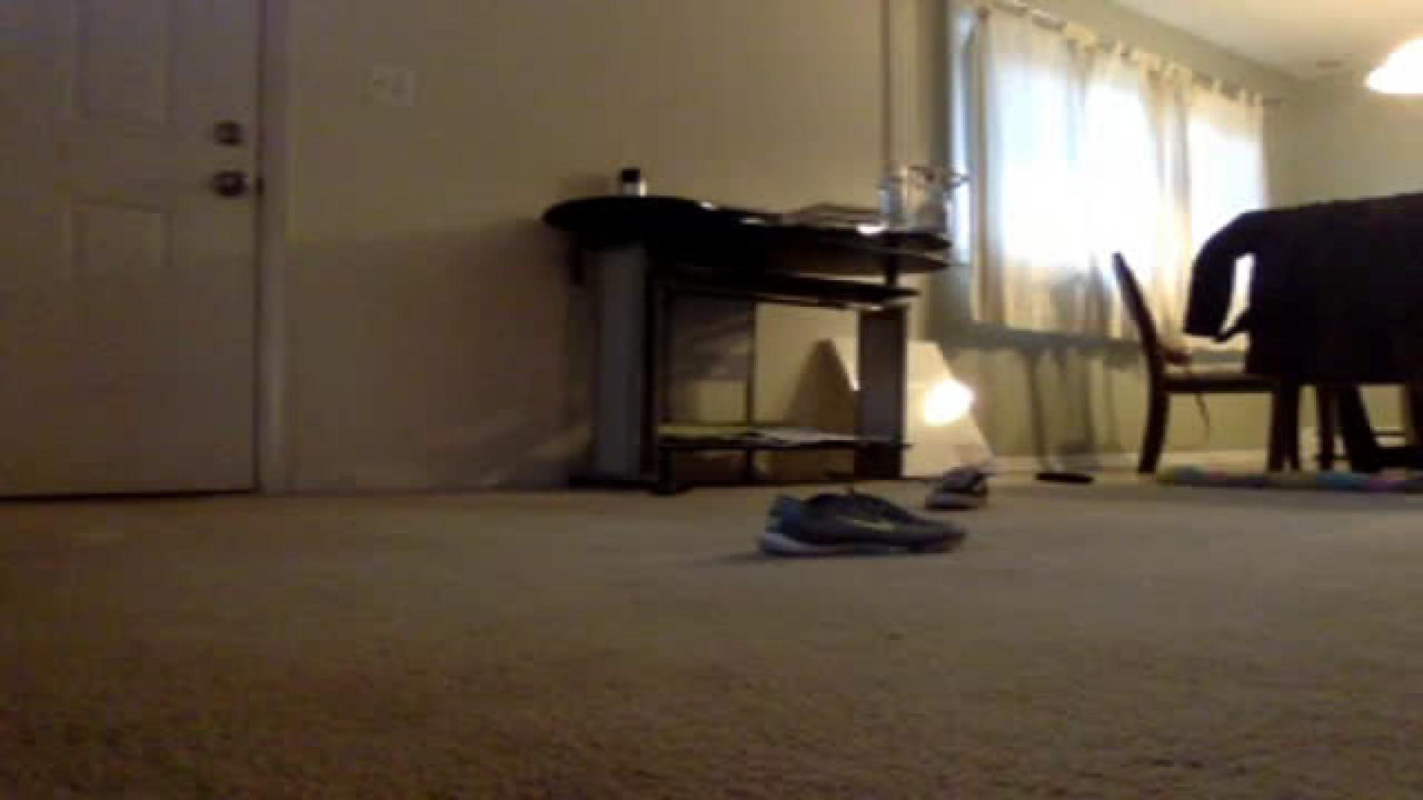 ellielovexo [2018/04/23 23:29:25]
