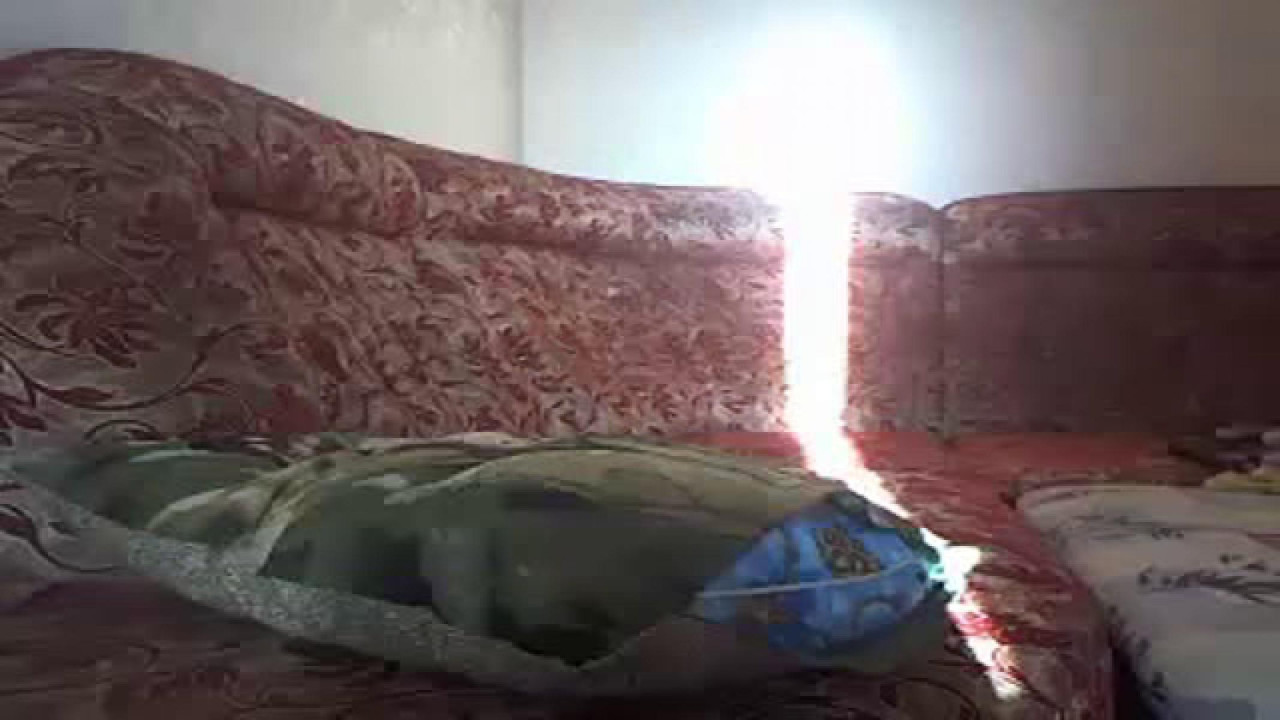 elenarus [2018/04/16 02:55:50]