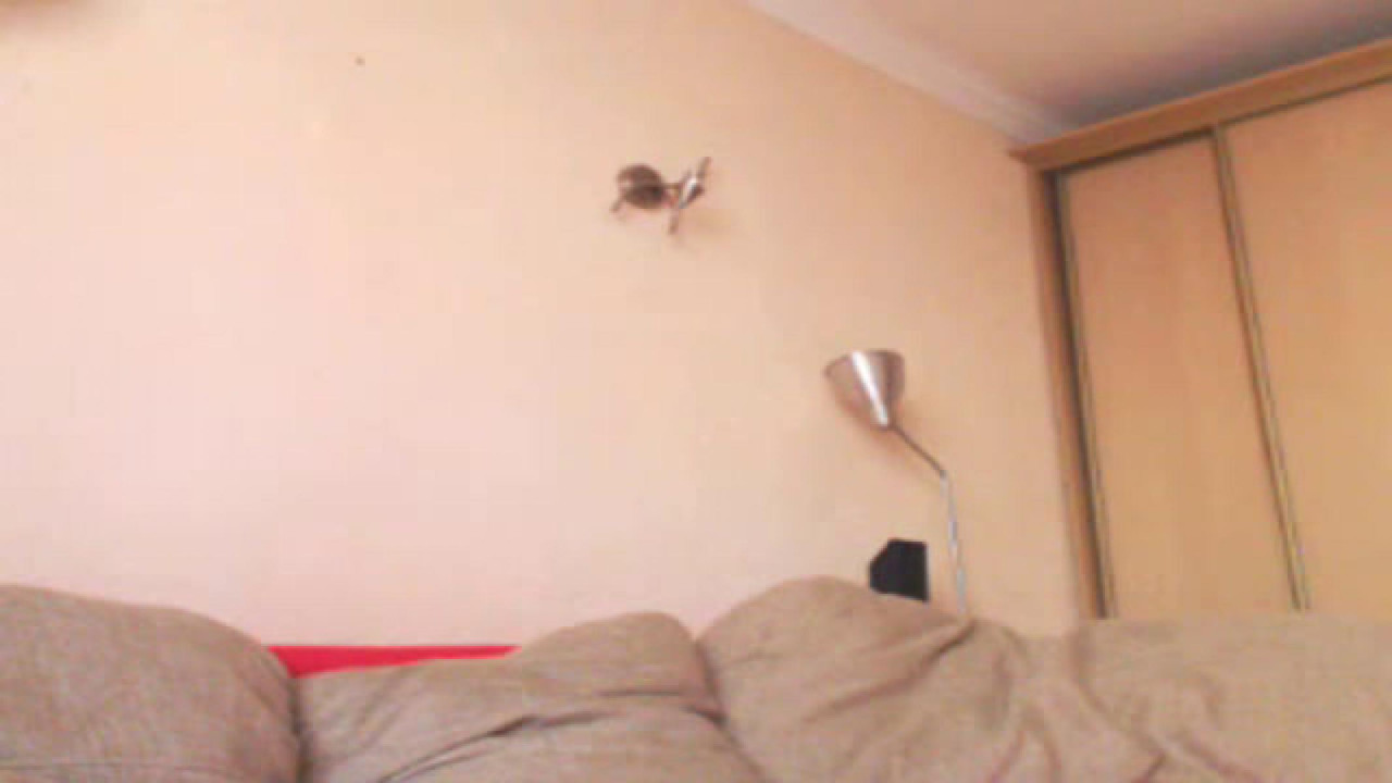 mikki_g Flashing Video [2017/09/15 08:30:50]