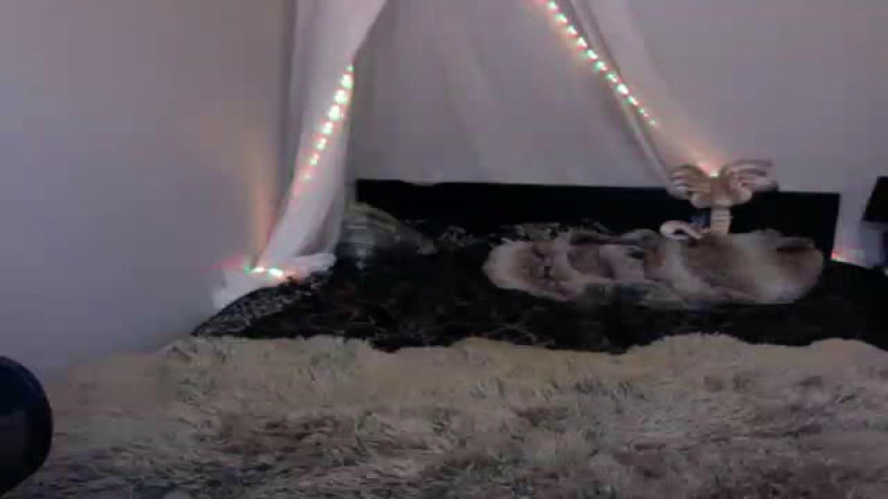khaleesibuttz Strap Movie [2018/02/01 19:15:13]
