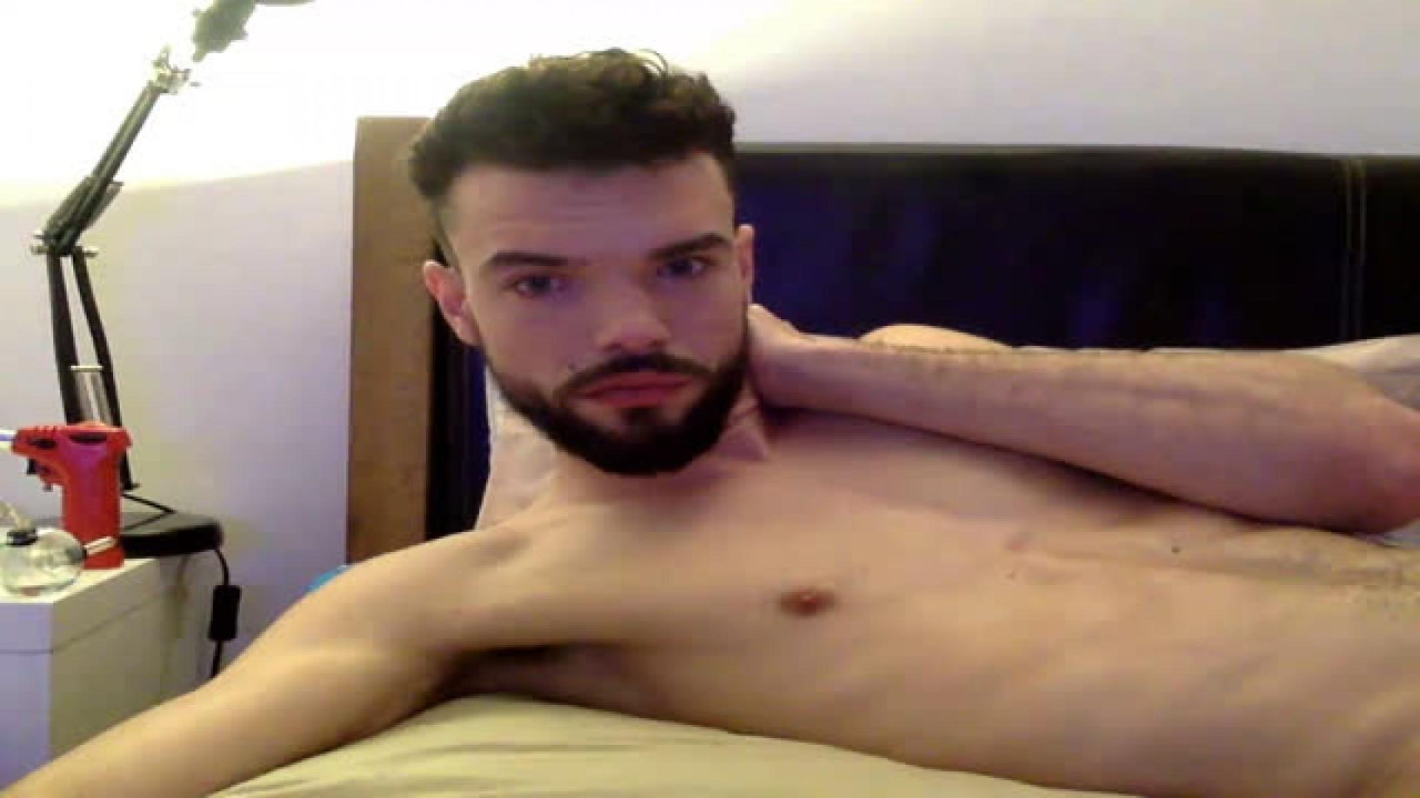 yorkypup22