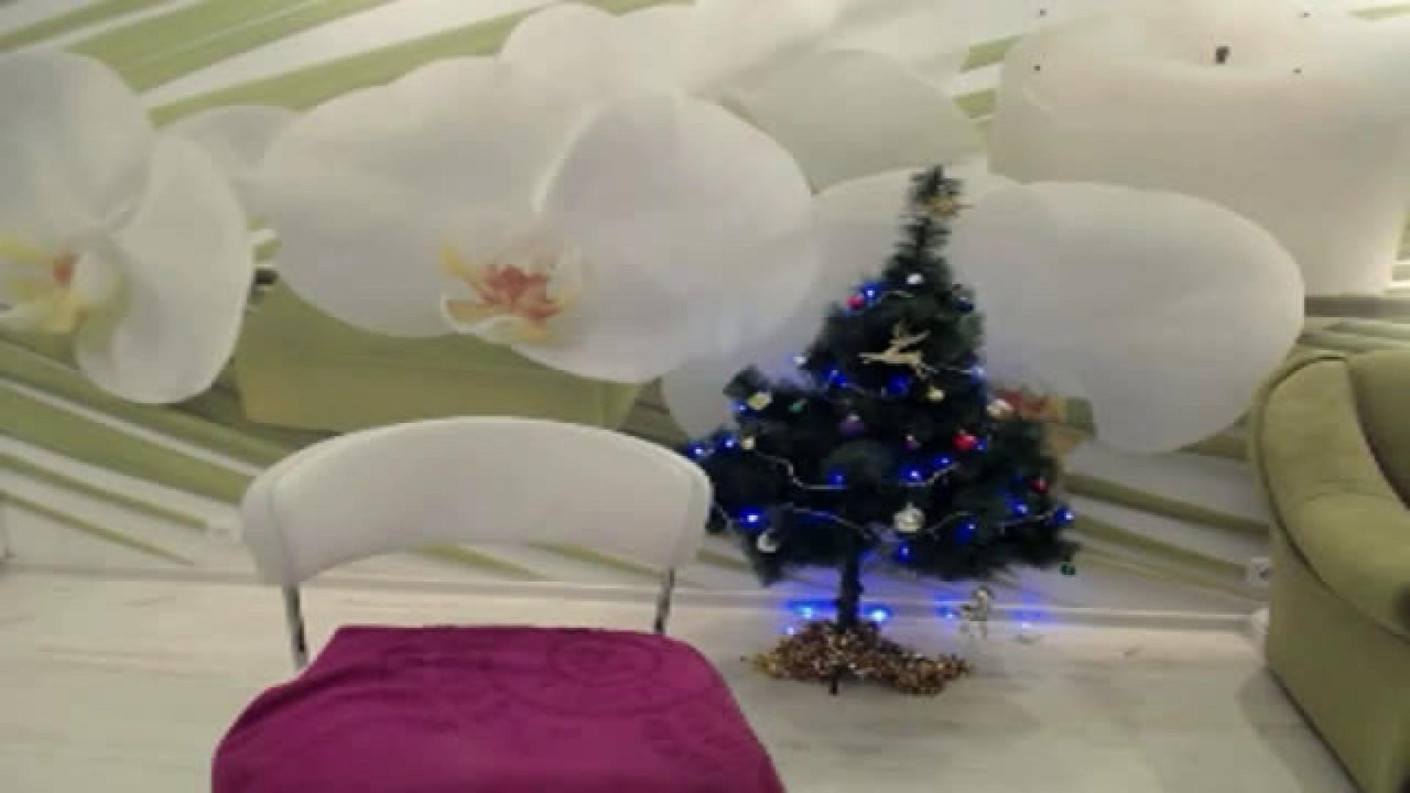 wonderaliceee [2017/12/13 23:21:10]