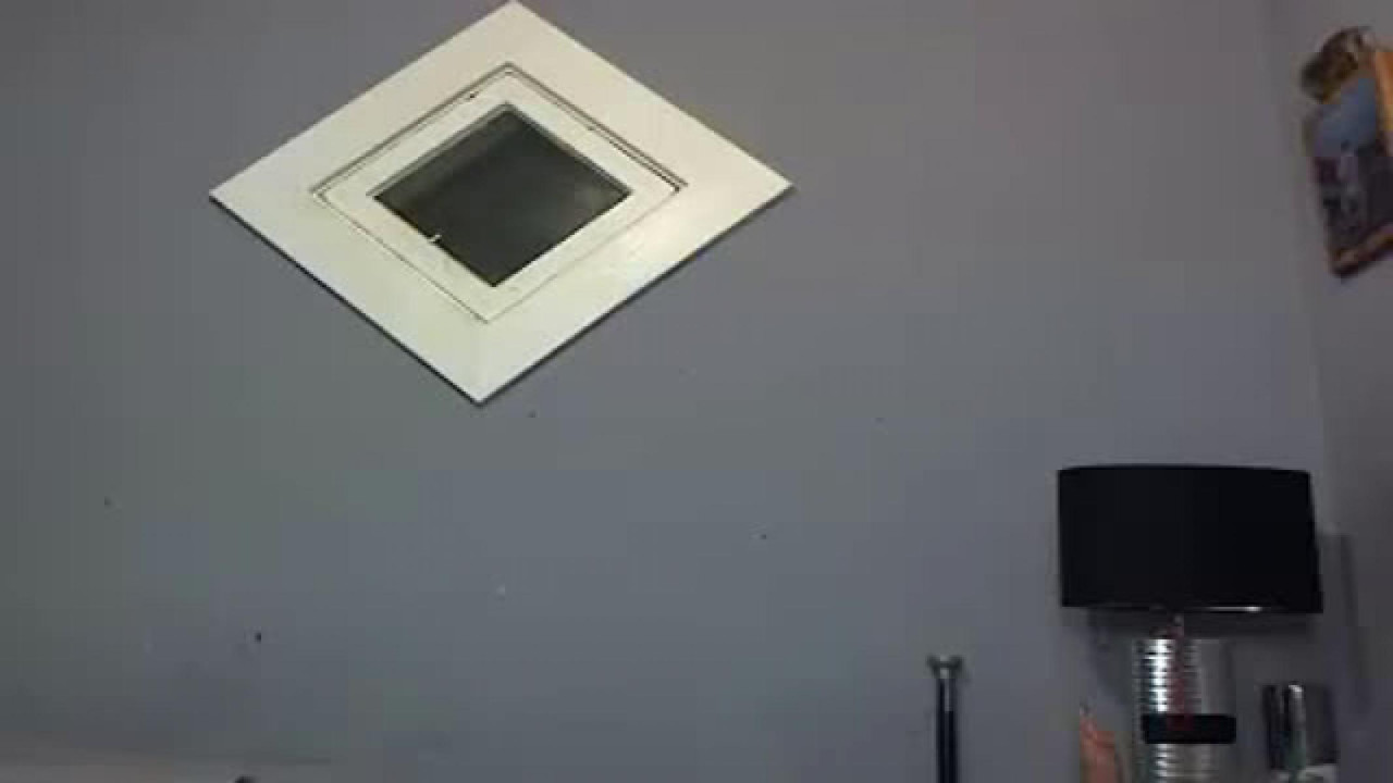 bellavita_ [2017/11/07 13:47:39]