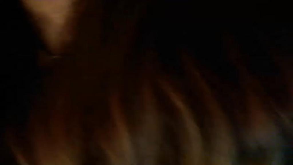 nohmadic [2019/05/31 04:16:02]