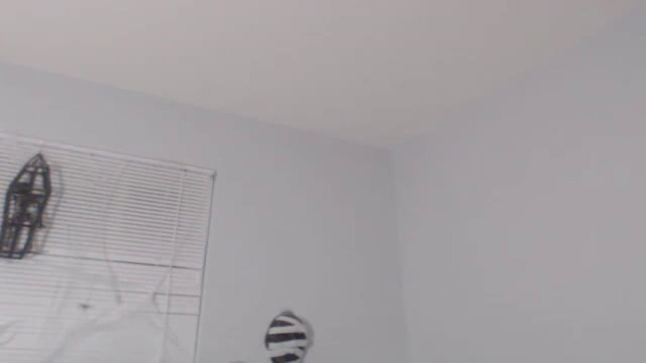 asian_tala Sex Webcam [2017/10/24 06:25:12]