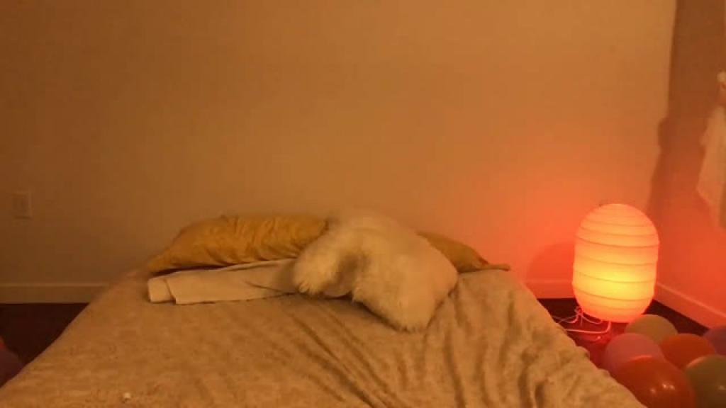 zoeybells [2019/09/29 04:50:12]