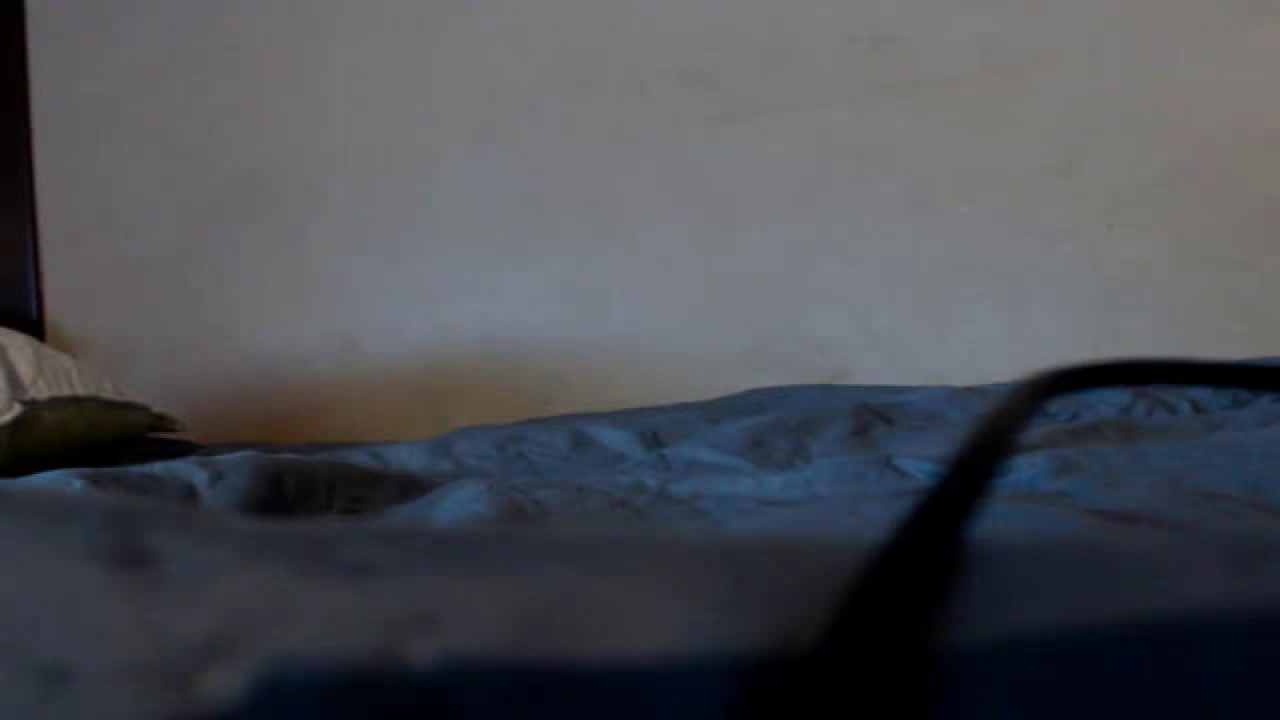 no_metter Masturbating [2018/03/16 21:05:29]