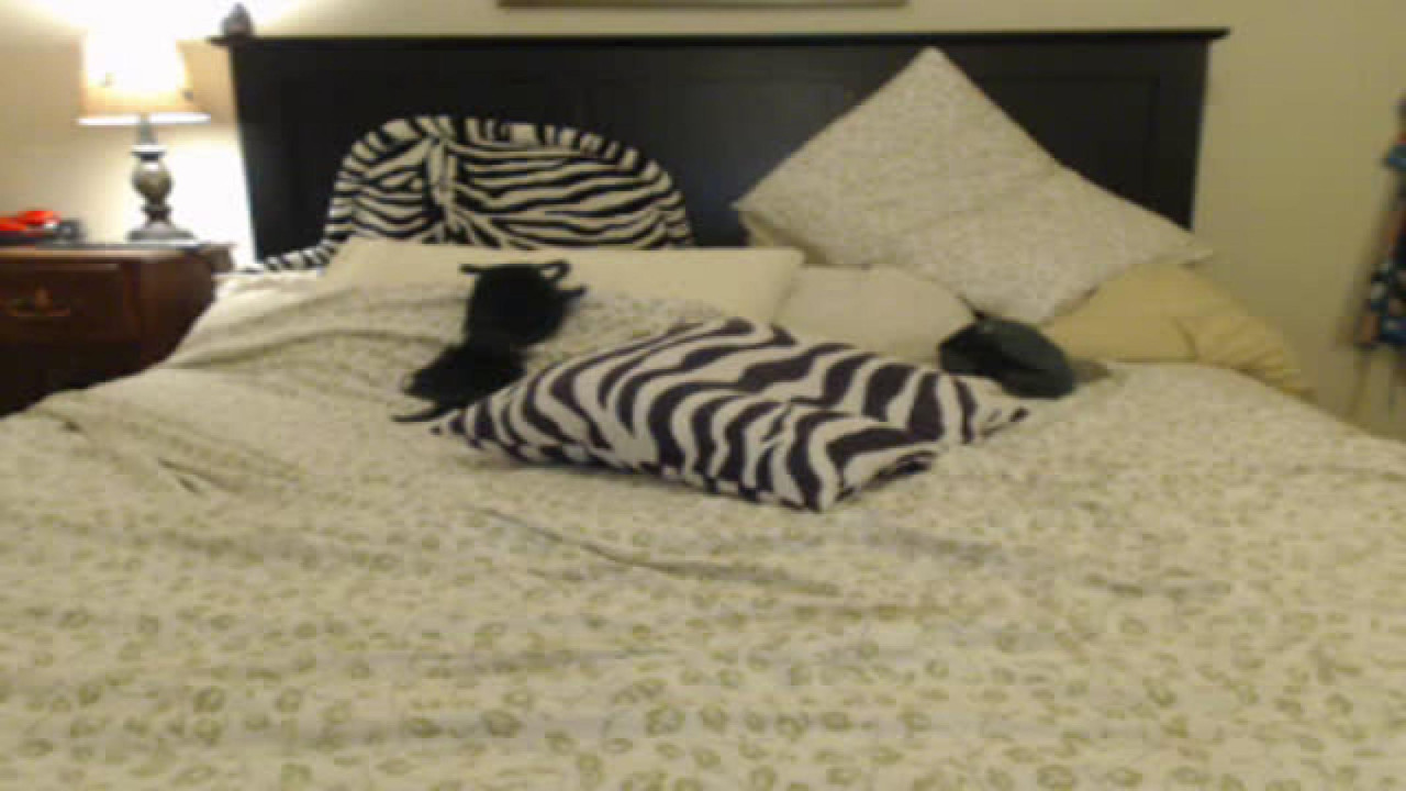 princesscedar Topless Show [2017/08/29 05:06:29]