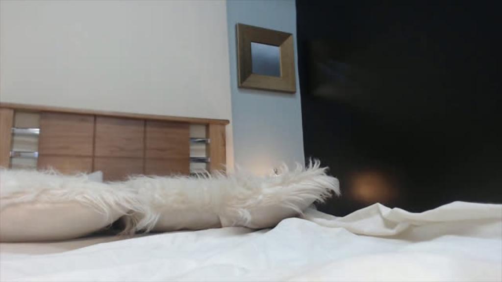 gina_akemi [2019/08/14 01:15:41]