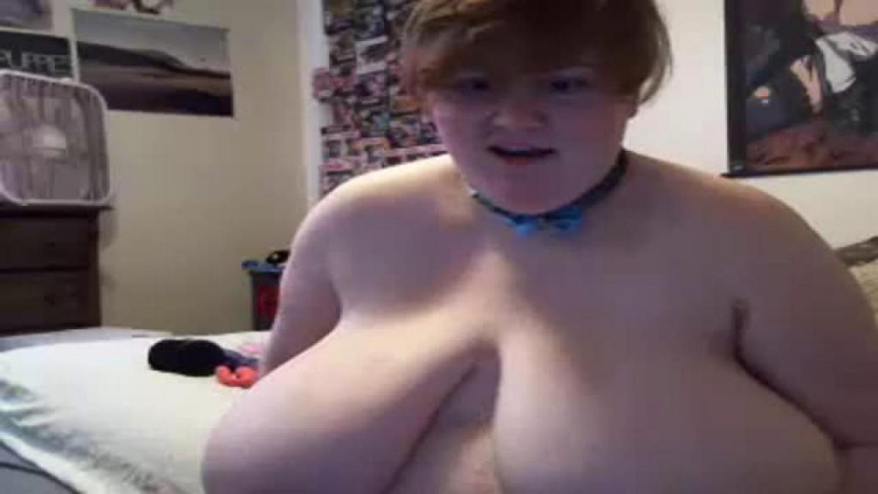 perkyfox