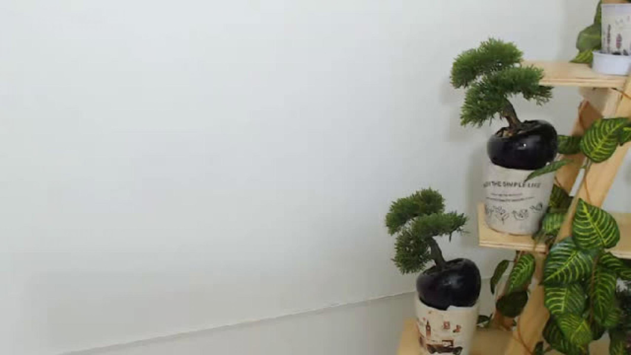 lindacruz [2017/11/27 00:11:18]