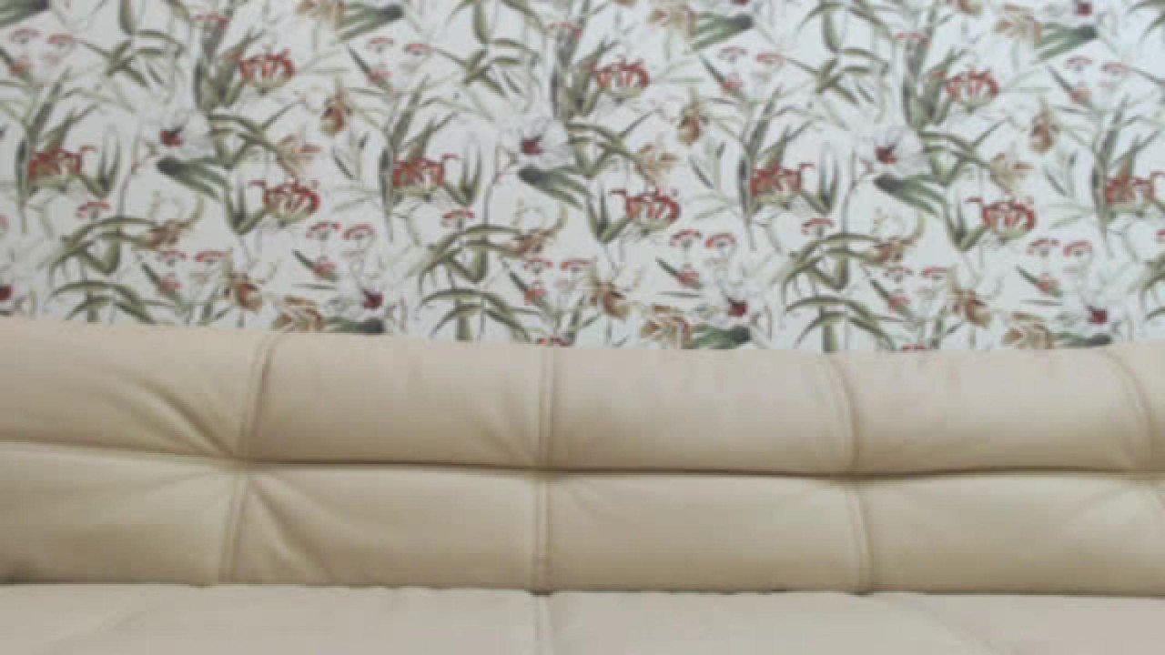 dimpledream [2018/01/03 22:51:02]
