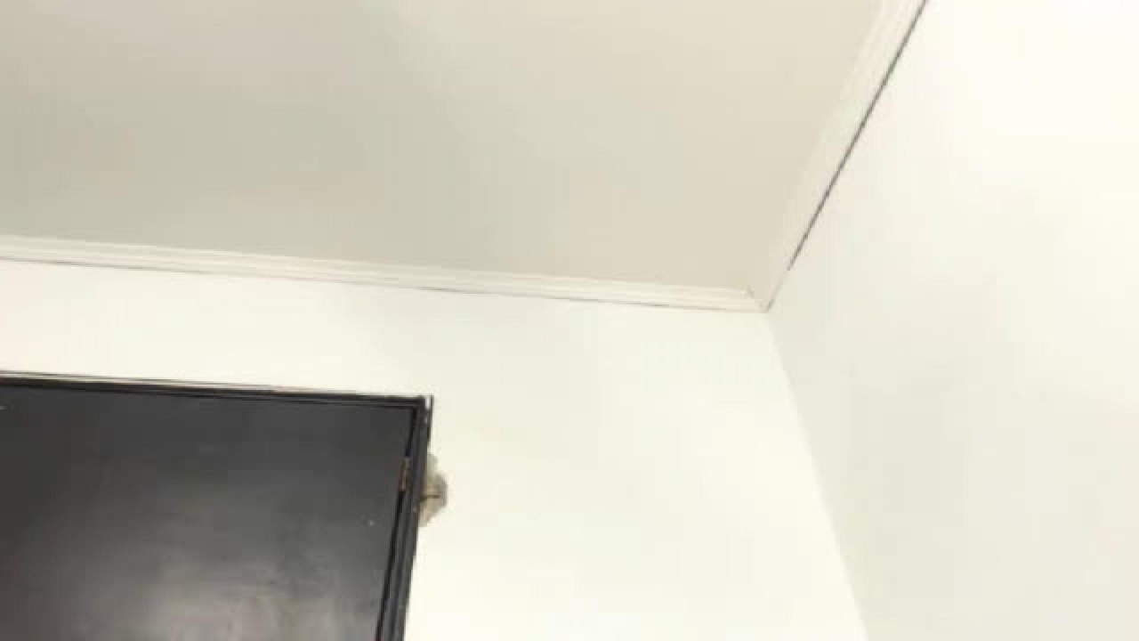 juicyxcockxx Pov Webcam [2017/09/07 14:52:54]