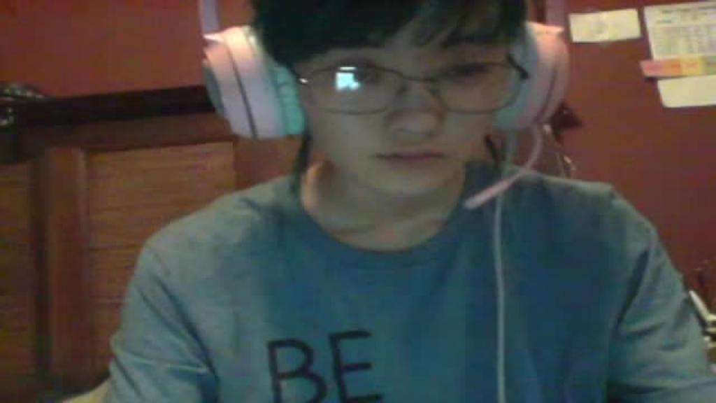kittenkam_dtf