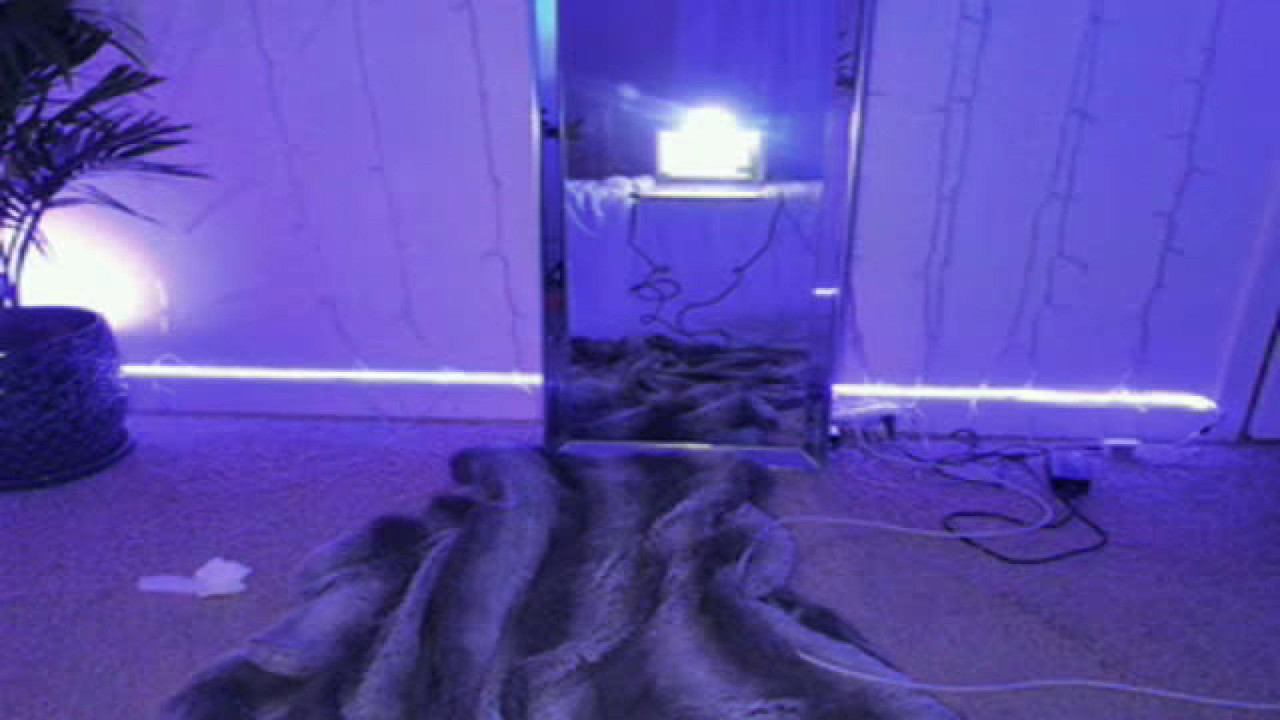 nikki_haze Live Movie [2017/09/17 05:56:04]