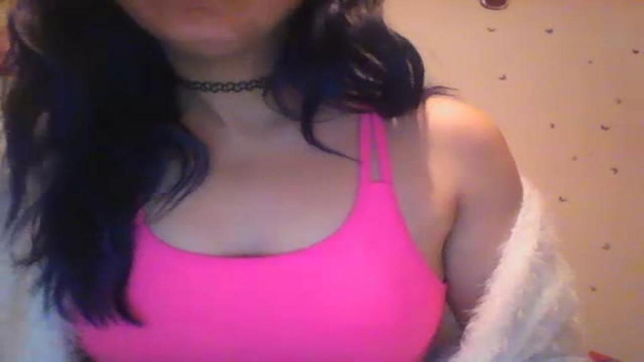 divididacat