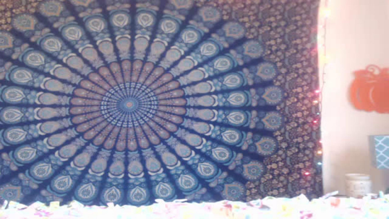 hippiehaven Bj Webcam [2017/10/26 15:37:39]
