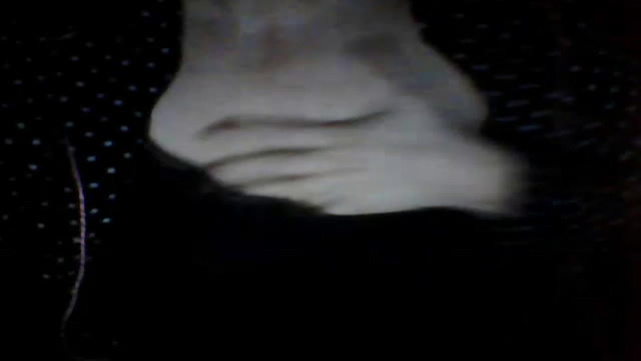 parejados2 Compilation [2018/01/24 23:40:53]