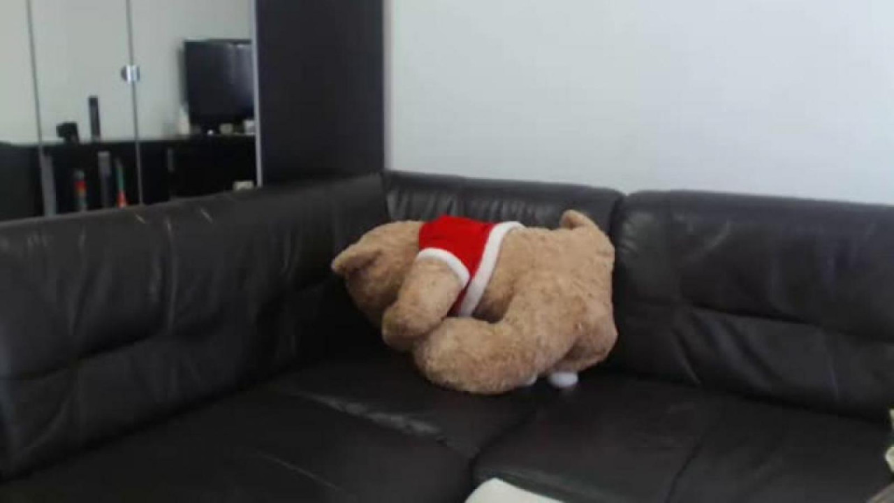 company_crazy Squirt [2017/06/18 13:30:43]